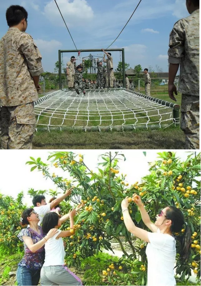 杨墩农庄枇杷节活动场景